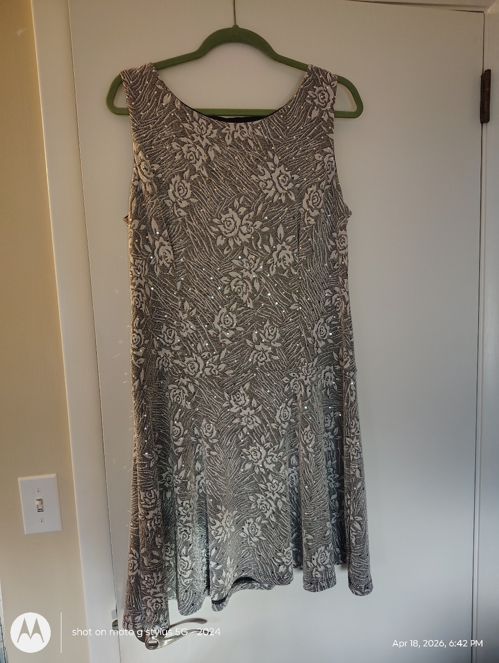 Silver Sparkly Skater Dress